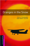 oranges in the snow.png